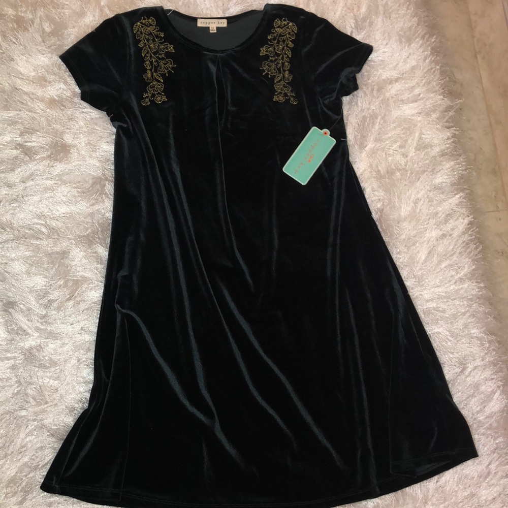 Copper key green velvet dress